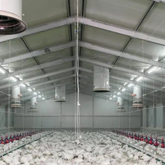 Architecture Prefabricated Poultry House Customized Poultry Farm Chicken House Coop