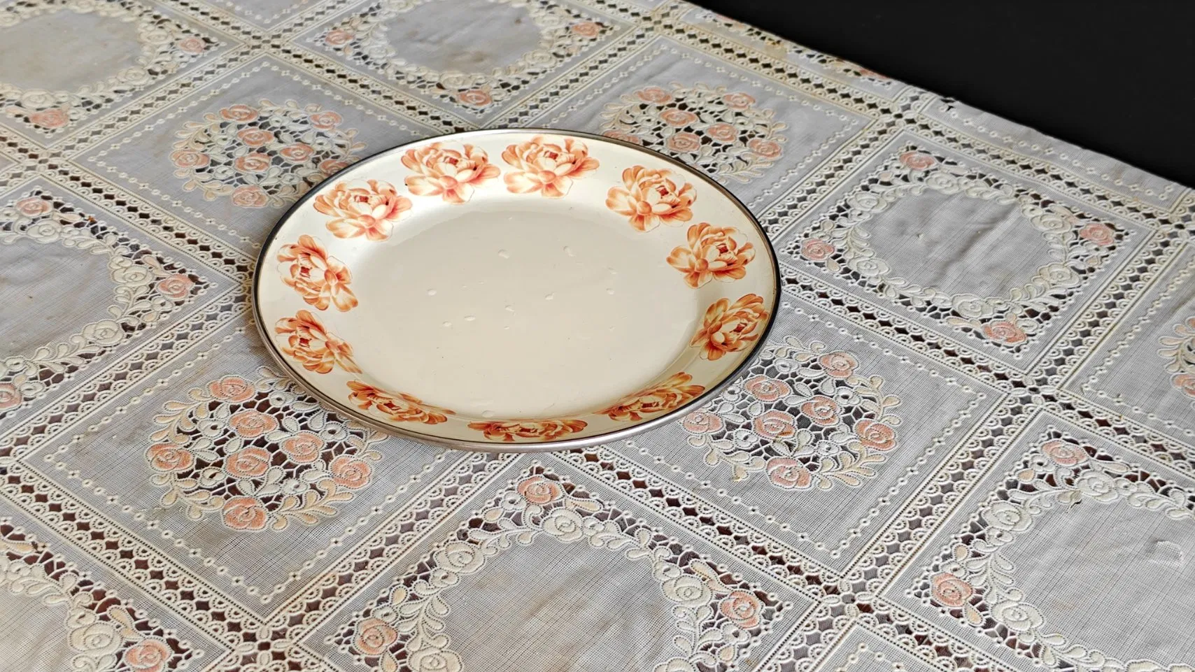 Enamel Plate/ Rice Plate/Dish Plate/Plate with SS Rim