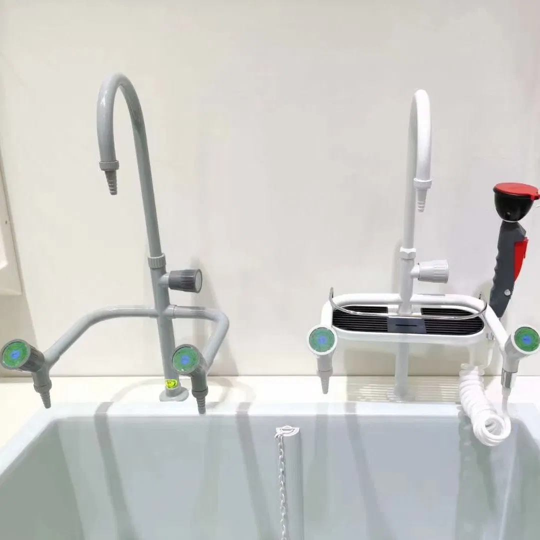 Durable Gray Brass Laboratory Faucet for Educational Institutions (WJH0731-2)