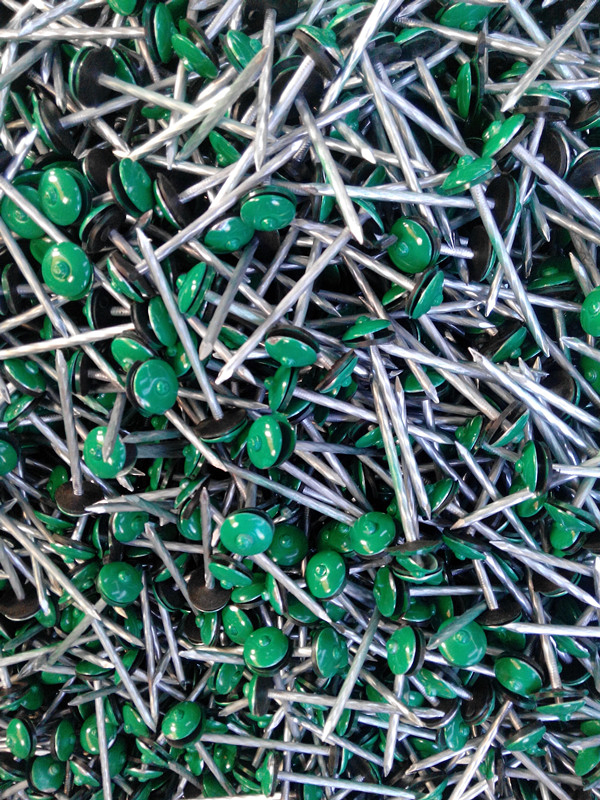 Painted Umbrella Head Roofing Nail with Washer
