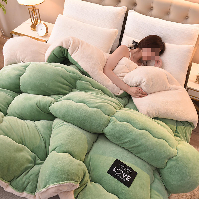 Thickened Warm Flannel Winter Quilt Home Student Dormitory Queen Full Size Comforter Core