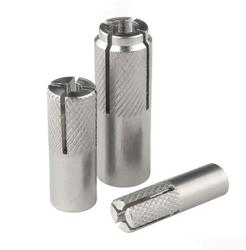 Special Chemical Wedge Stainless Steel Anchor