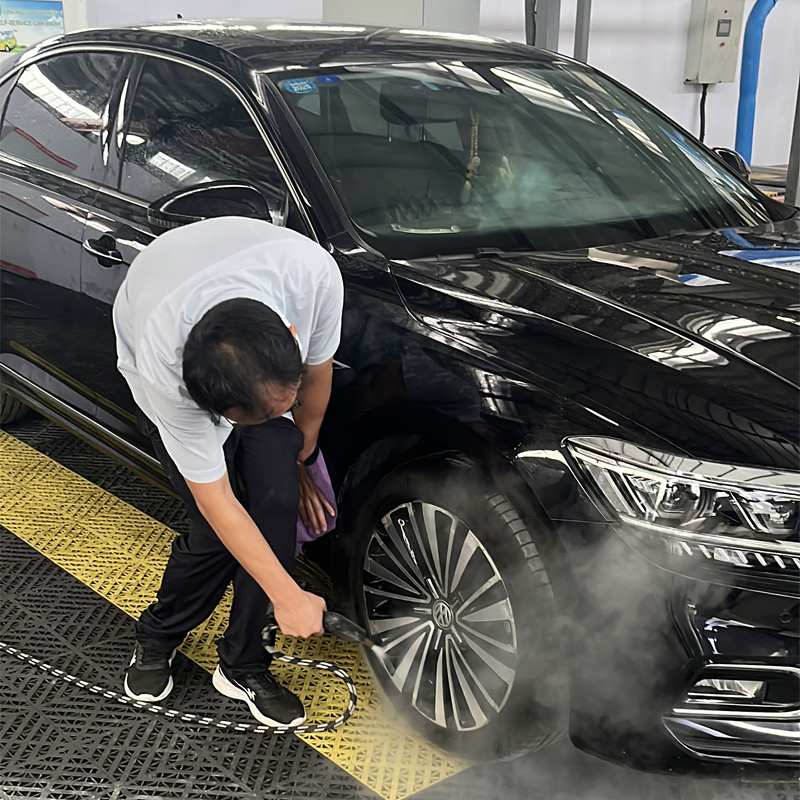 High-Temperature & High-Pressure Steam Cleaner Electric-Heated Dual-Gun Steam Cleaning Equipment & Interior Cleaner