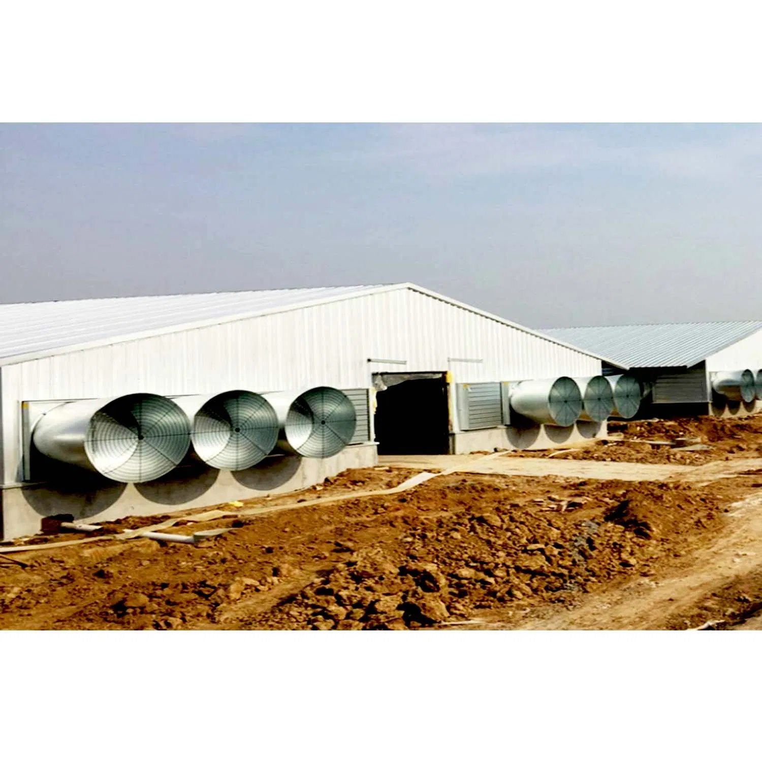 Layer Egg Chicken Cage for Chicken Farm Design Poultry House