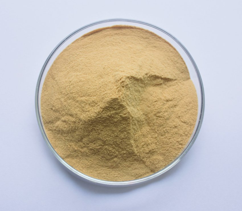 Sodium Lignosulphonate SL-Powder50 Used in Construction Chemicals Manufacturer From China