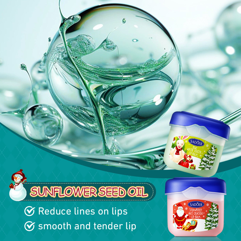 Christmas Lip Balm Gift Box Moisturizing Lip Balm