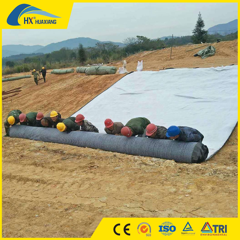 4500 5000 6000GSM Geosynthetics Clay Liner for Waterproofing Landfill Artificial Lake Railway River Bank Mining Bentonite Waterproof Blanket Gcl