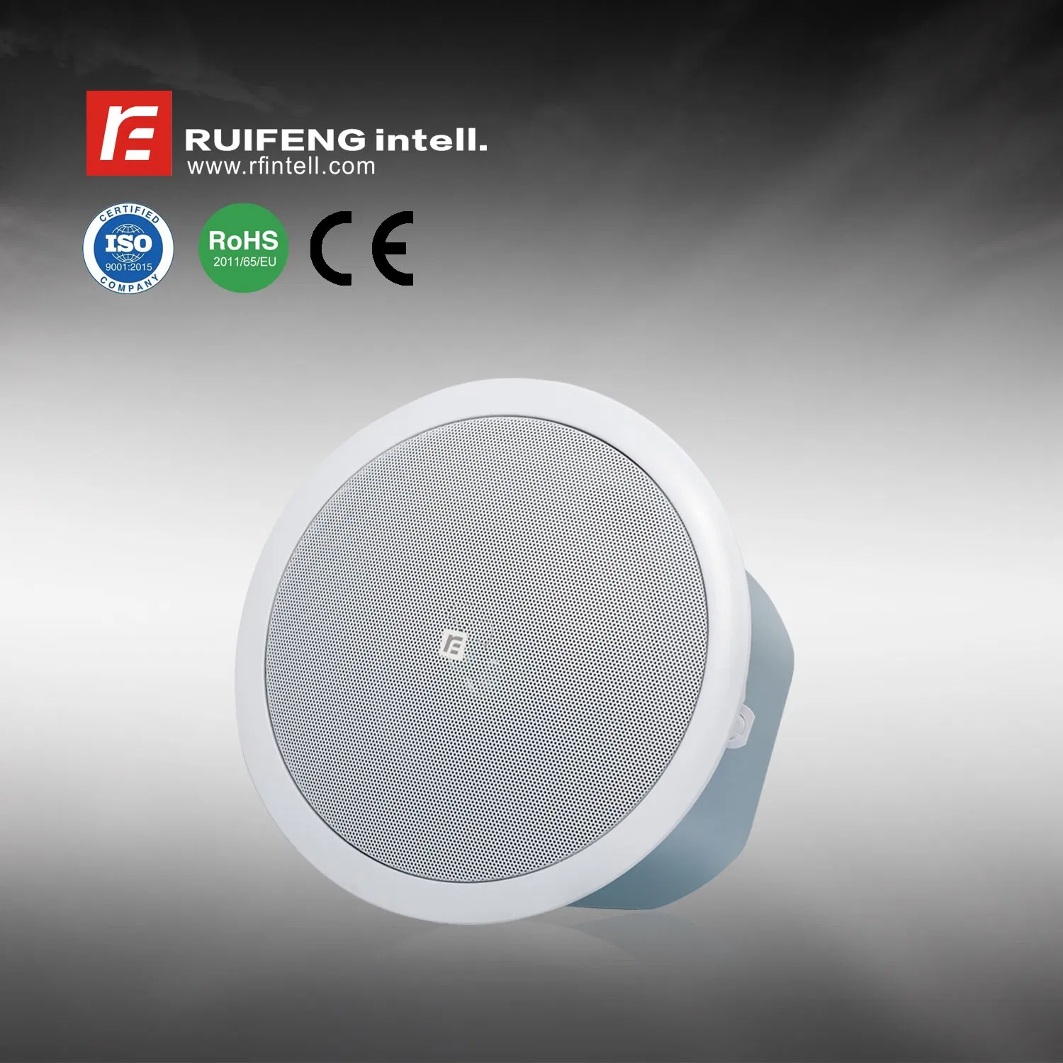 Conference Hall Banquet Hall Ceiling Speaker