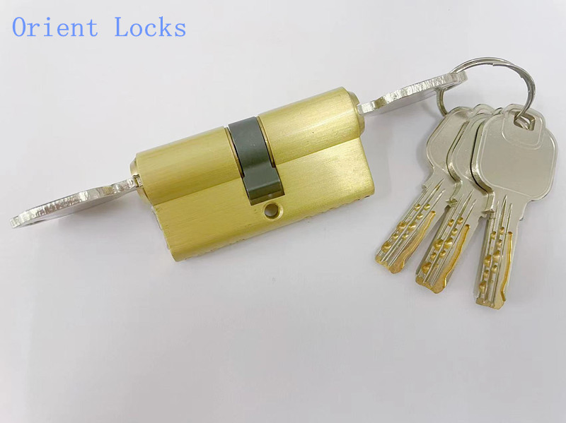 High Qulaity Double Pin Snake Key Way Cylinder with Emergency Function