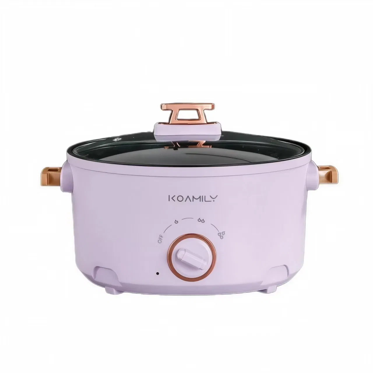 Mini Electric Hot Pot Non-Stick Electric Cooker Multi-Function Electric Cooking Pot for Office Lunch and Dorm Cooking