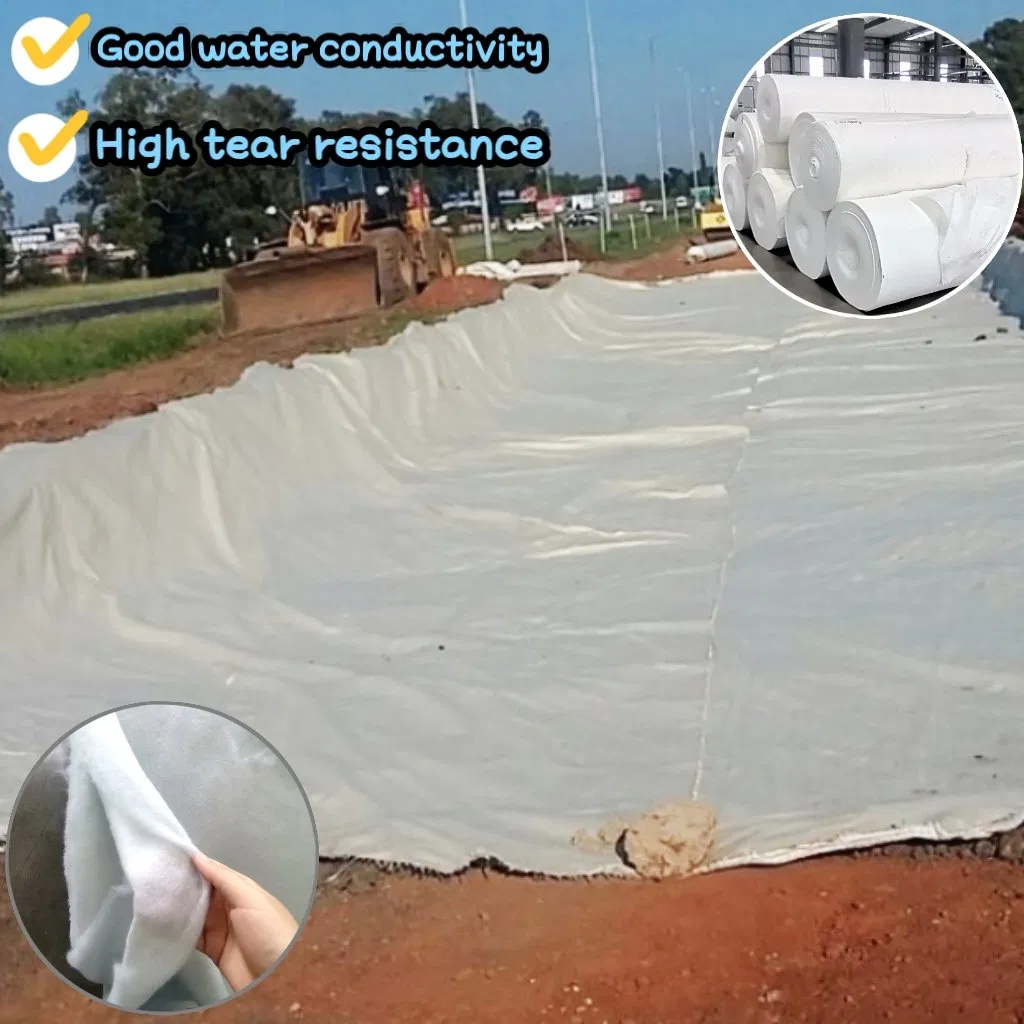 PP/Pet 100/200/300/400/500/600/700/800g Geotextile for Road, Rail, Tunnel, Airport Road Construction, Geotechnical Cloth