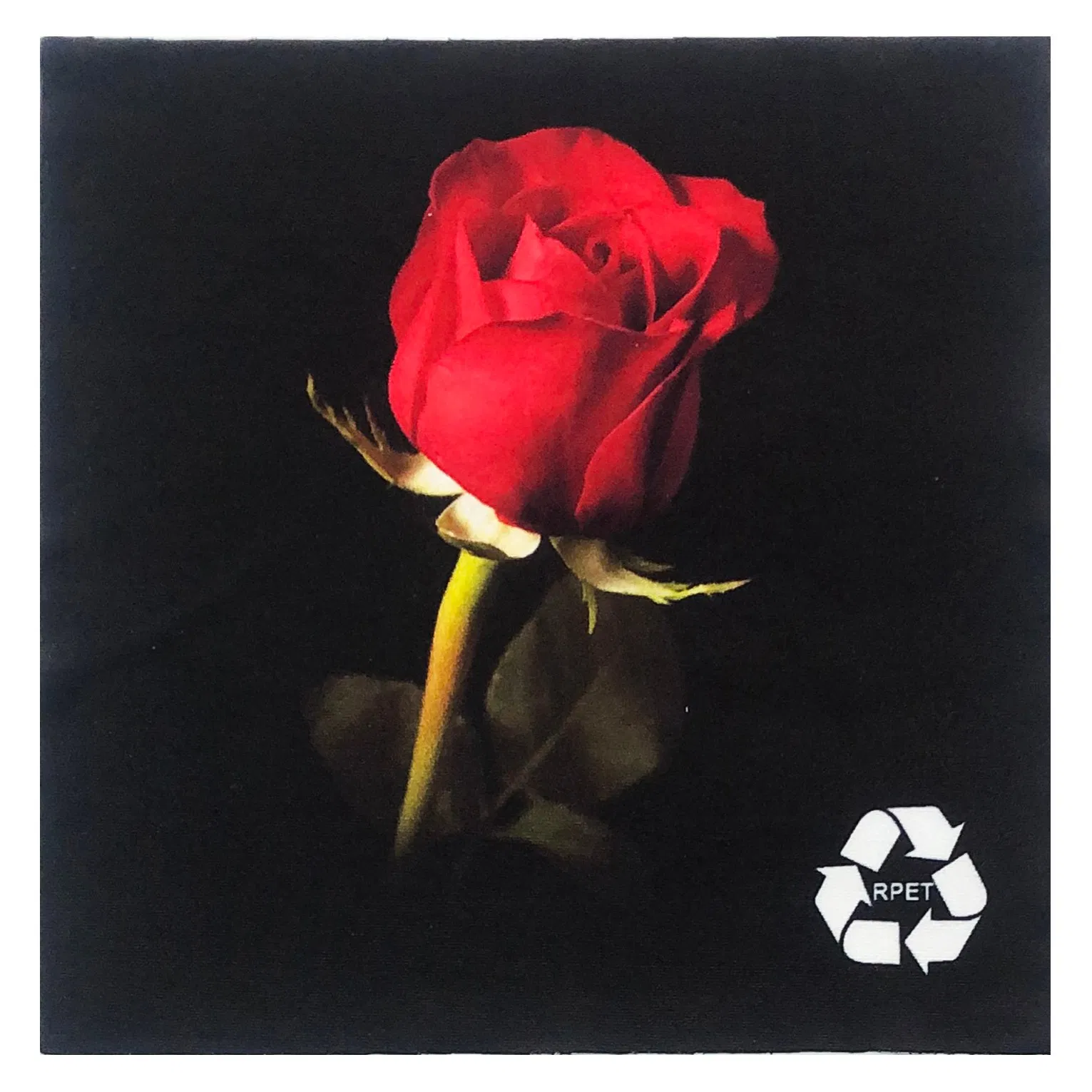 Microfiber Polyester Nylon Digital Printing Eyeglass Cloths Watch Cleaning Jewelry Cleaning Monitor Cleaning