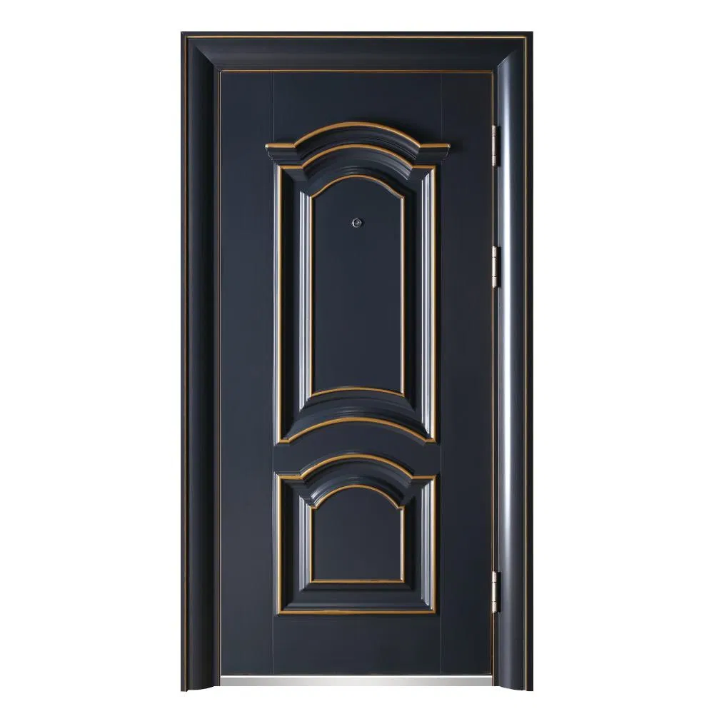 Stylish Steel Security Door Designed for Maximum Safety