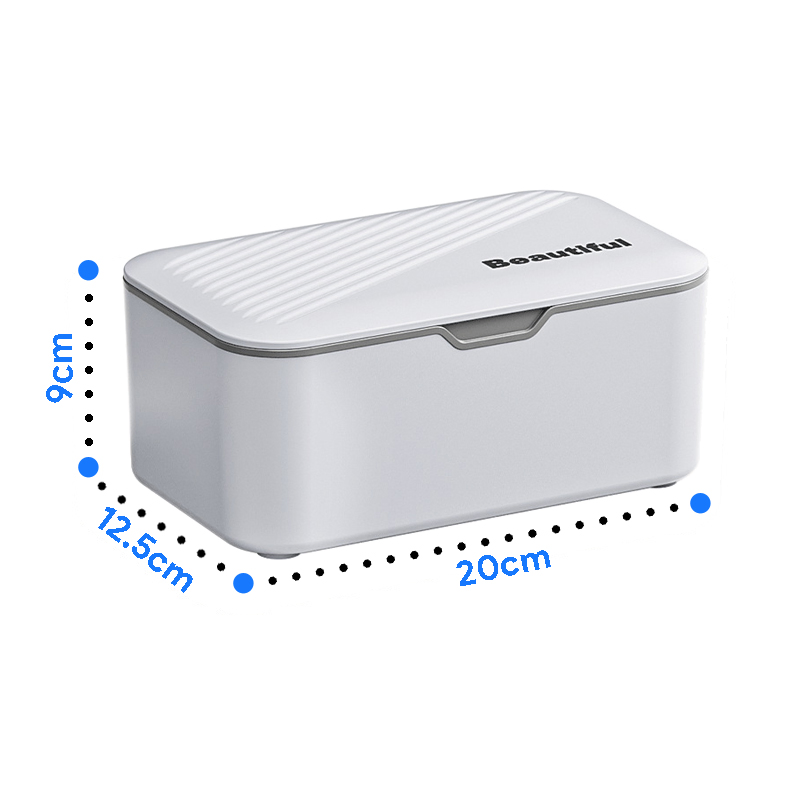 Disposable Mask Case Portable Mask Storage Case Mask Organizer Box