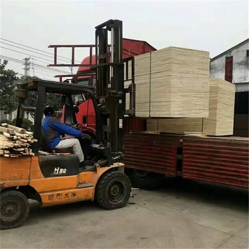 New Design Rotary Cut Natural Veneer Wood Thickness Natural Poplar Veneer