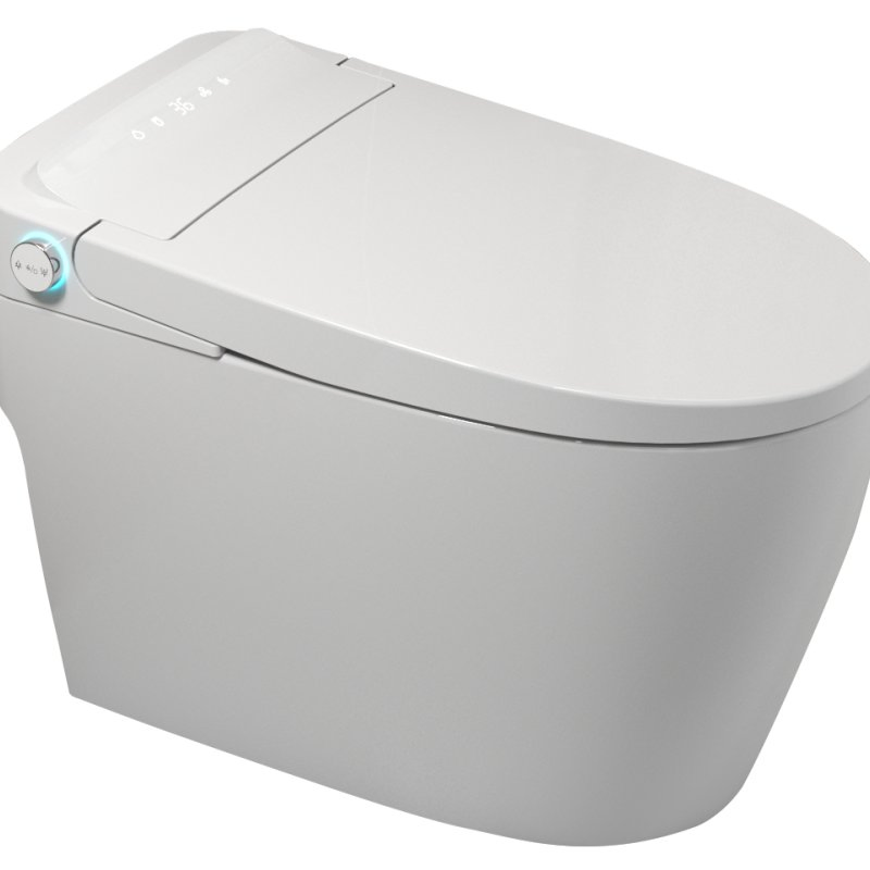 Simple and Popular Fashionable Intelligent Toilet