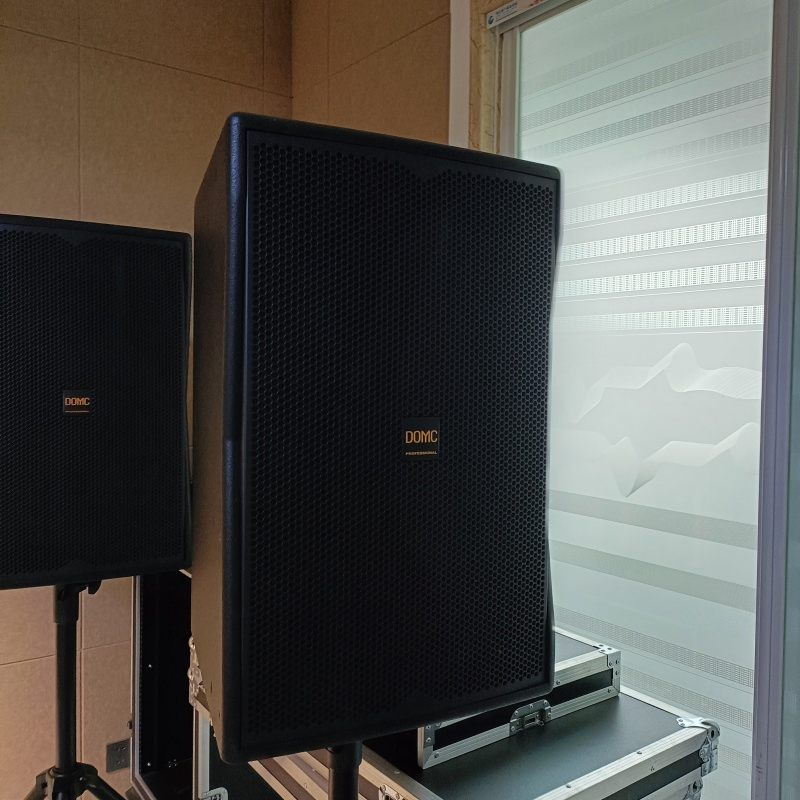 Domc K215 15-Inch Speaker with 99dB Sensitivity for Powerful Sound