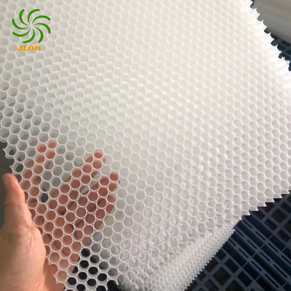 Environment Friendly PP Honeycomb Core Panel for Van Vehicle, Yachting, Home Furnishing
