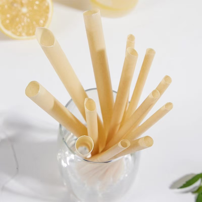 Eco Friendly Customized White PLA Pha Straws Compost Boba Sorbetes Smoothie Straw Manufacturer Marine Degradable Straws