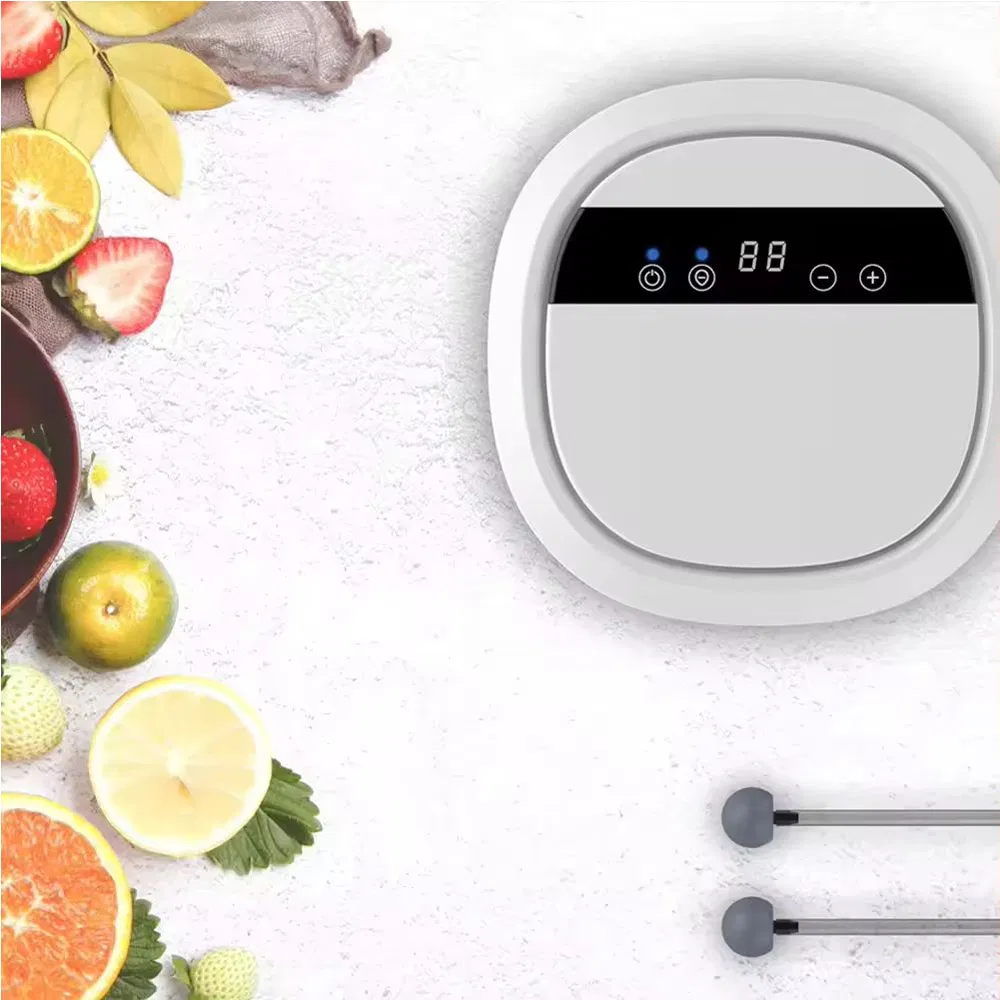 Multifunctional Ozone Air Purifier Portable Home Vegetable Cleaner Fruit Purifier
