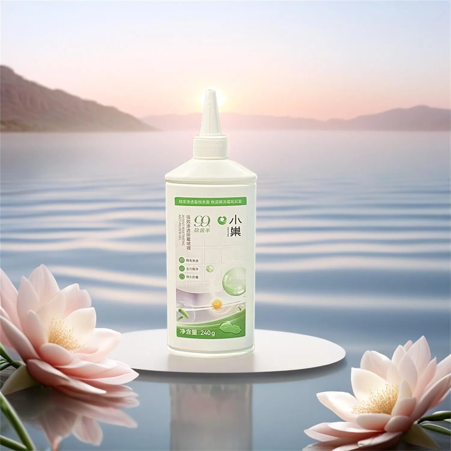 Powerful Aerosol Mold Removing Spray for Rapid Stain Removal