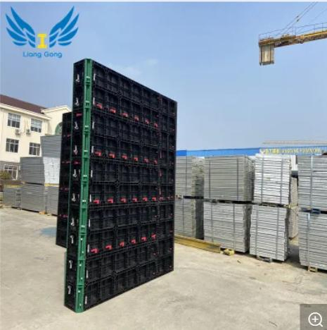 Hot Selling Reusable Plastic Formwork for Wall, Slab and Column Construction Formwork