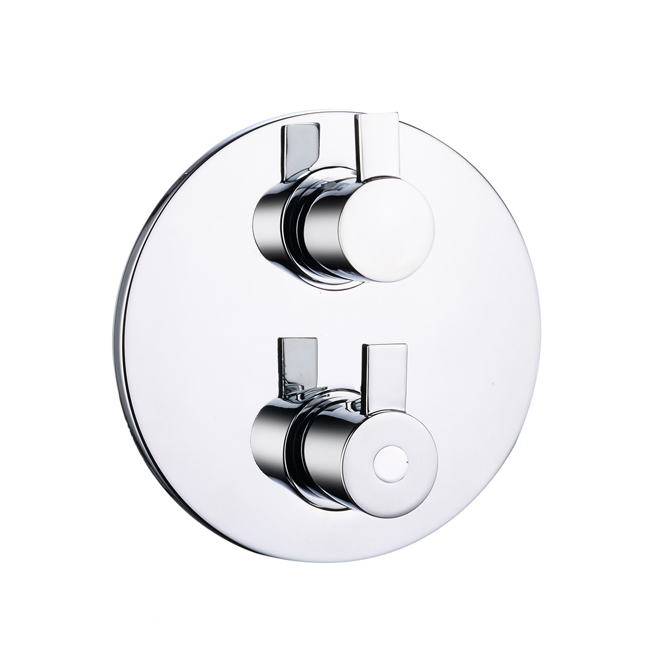 The Contracted Simple Design of Brass Polished Mounted Thermostatic Shower