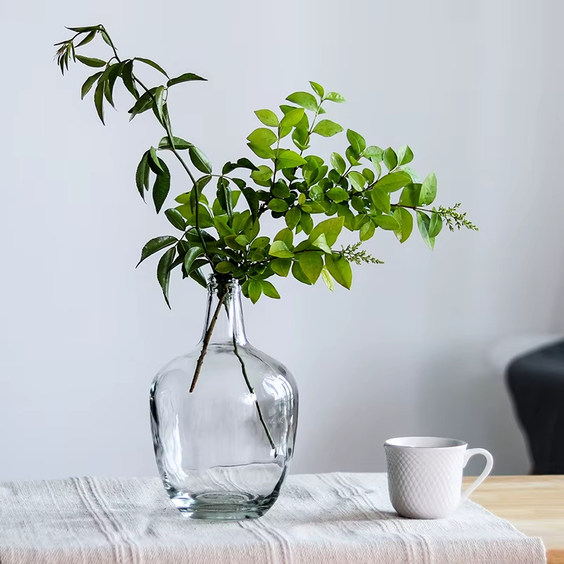 Big Belly Glass Vase Minimalist Transparent Glass Vase Home Decoration Floor Hydroponic Plant Glass Ornaments