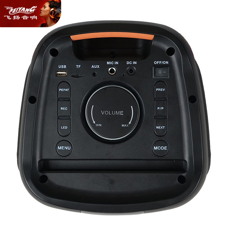 Feiyang DJ Rechargeable Bluetooth Digial Audio Speaker with Fire Light