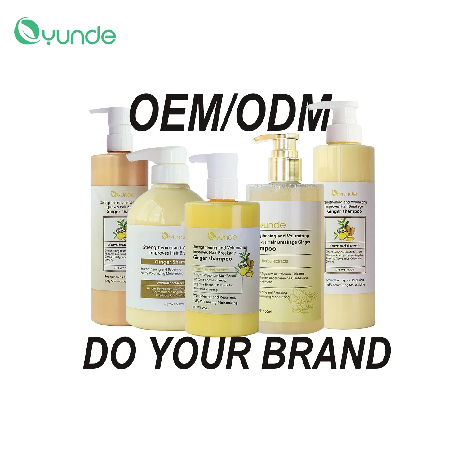 Promote Hair Growth, Natural Extract, Ginger Shampoo