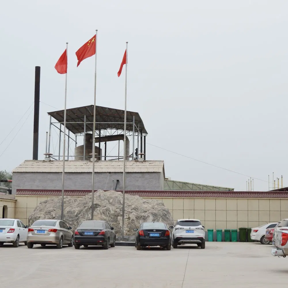 Versatile HPMC Powder for Enhanced Building Material Performance