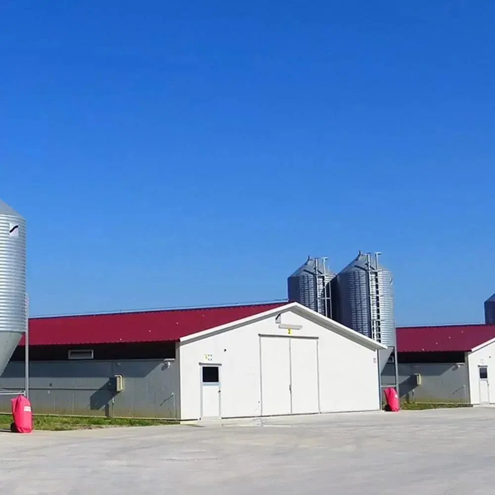 Premium Broiler Farming Tools for Optimal Growth Results