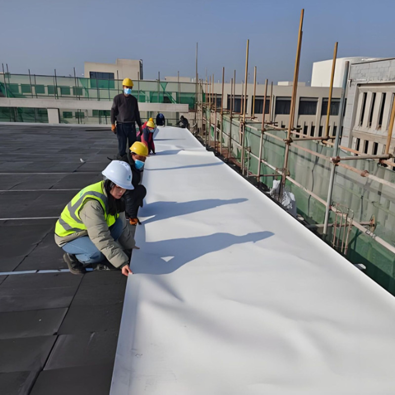 Shangze Best PVC Roofing Membrane Tpo Roofing Membrane HDPE Roofing Membrane