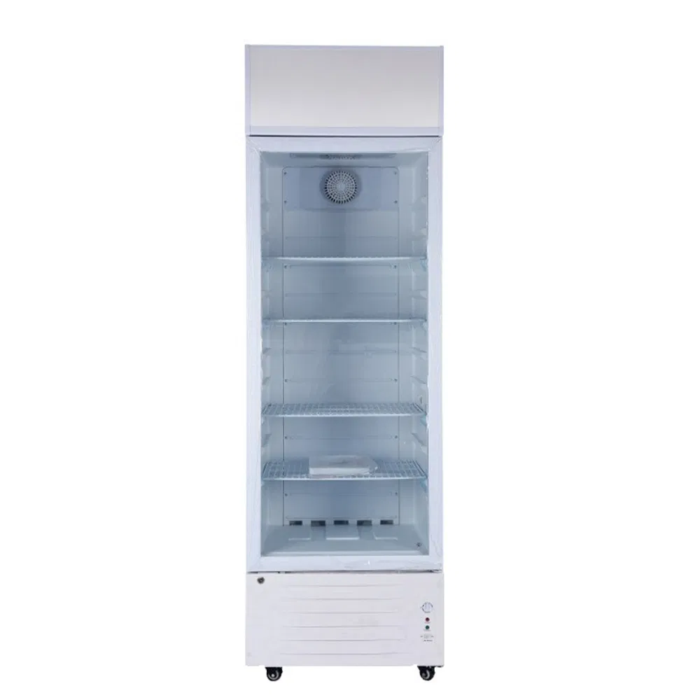LC-268 Litters Upright Showcase with Glass Door and 12V DC Compressor