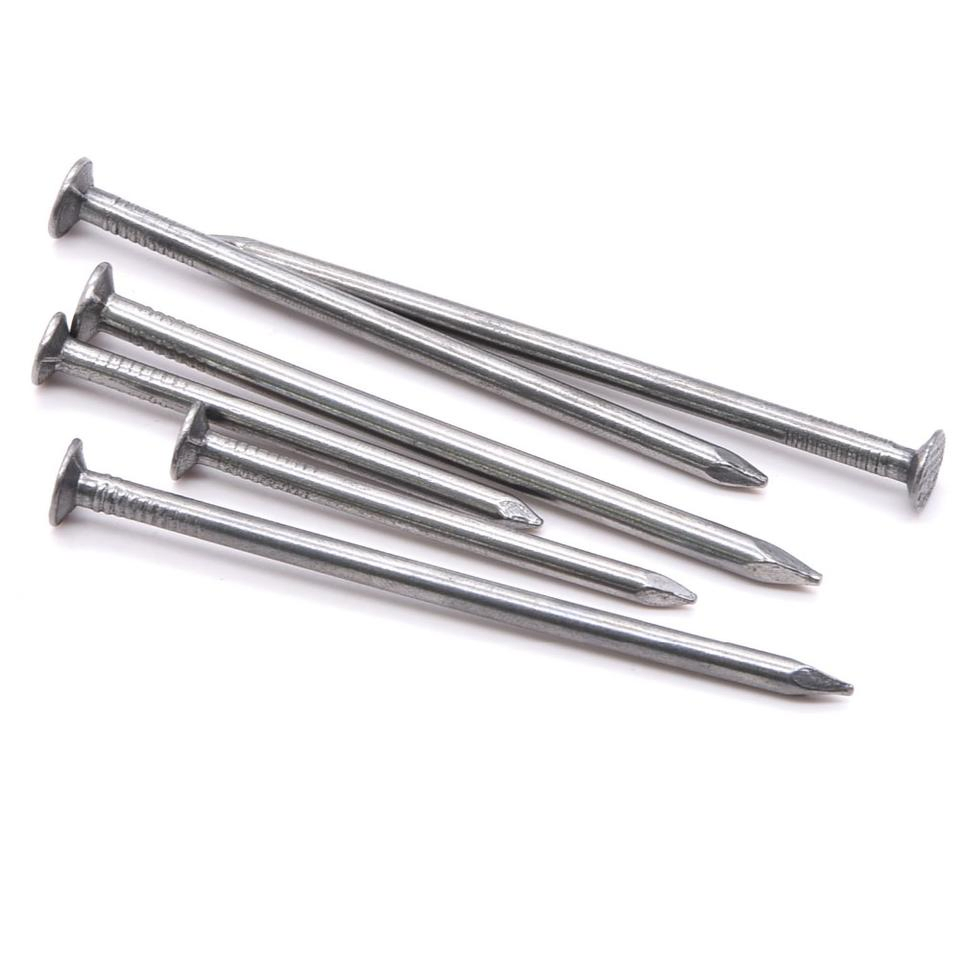 Zinc Plated Clout Nail Cupper Nail with High Quality Nails Construction