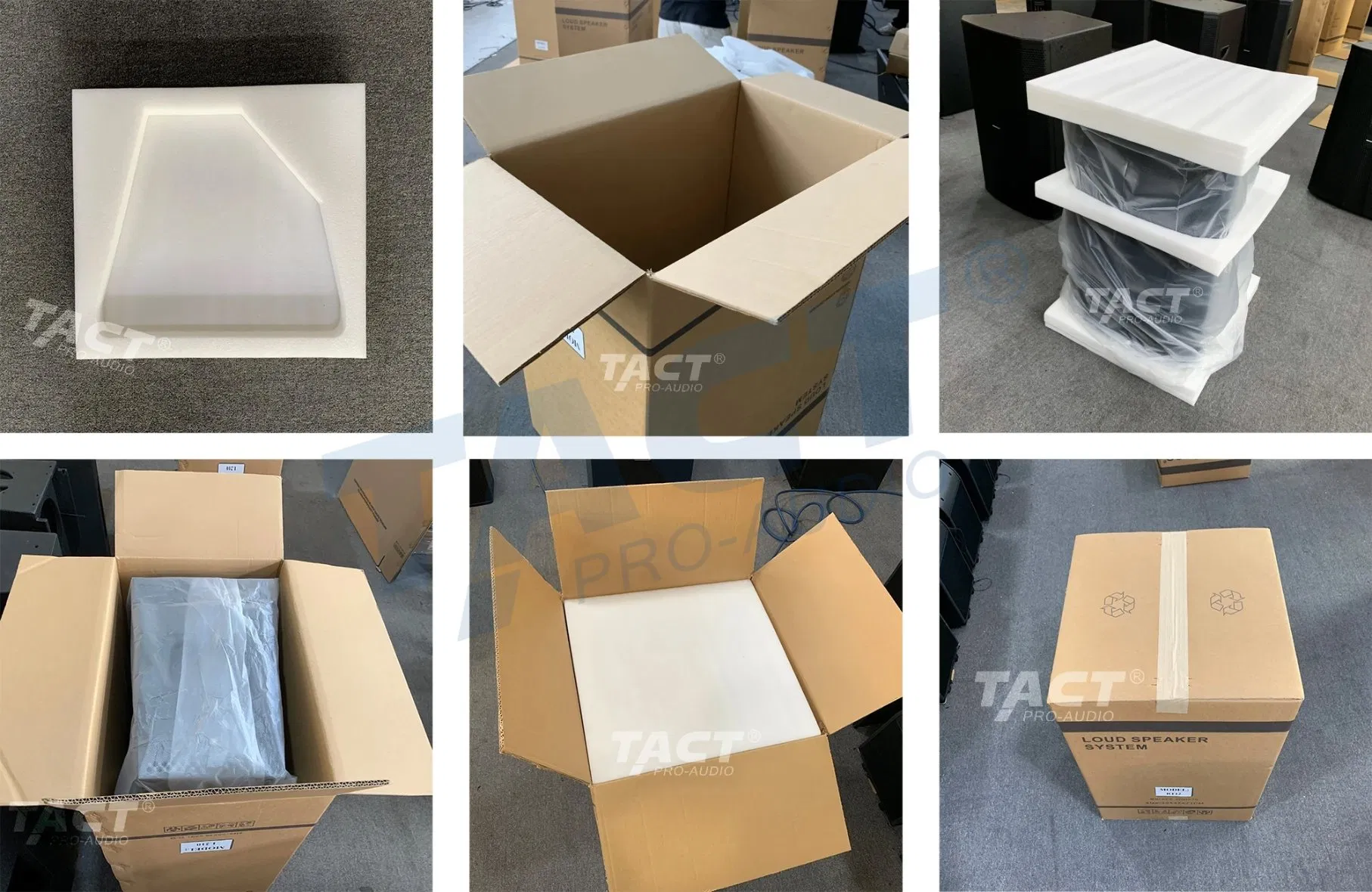 Tact New Launch Single 12 Inch Neodymium Coaxial Monitor Stage Speaker