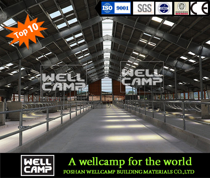 Wellcamp Hot-Sale Steel Structure Cowshed