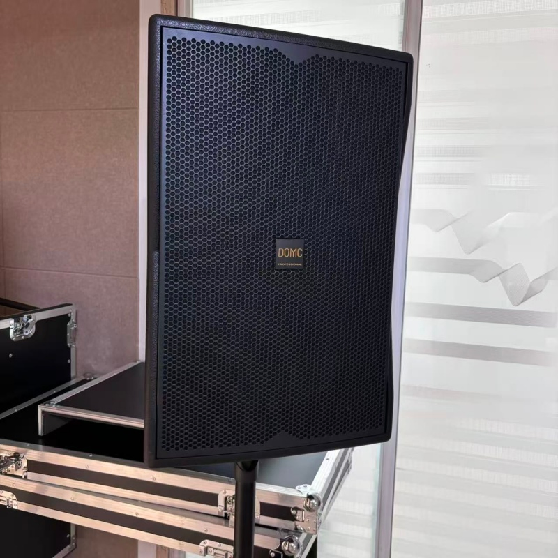 10-Inch Domc K210 Speaker, 300W AES, 50Hz-20kHz Frequency Range