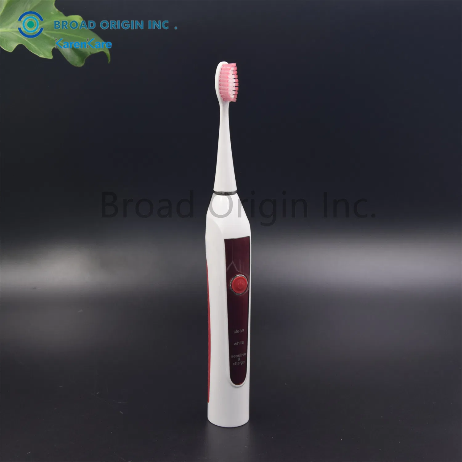 Private Label Tooth Brush LED Teeth Whitening Electric Toothbrush