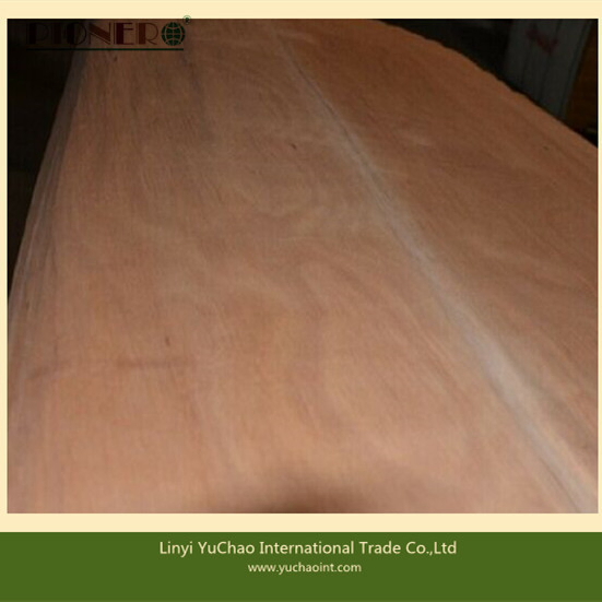 Plb Gurjan/ Keruing Face Veneer Rotary Cut Veneer