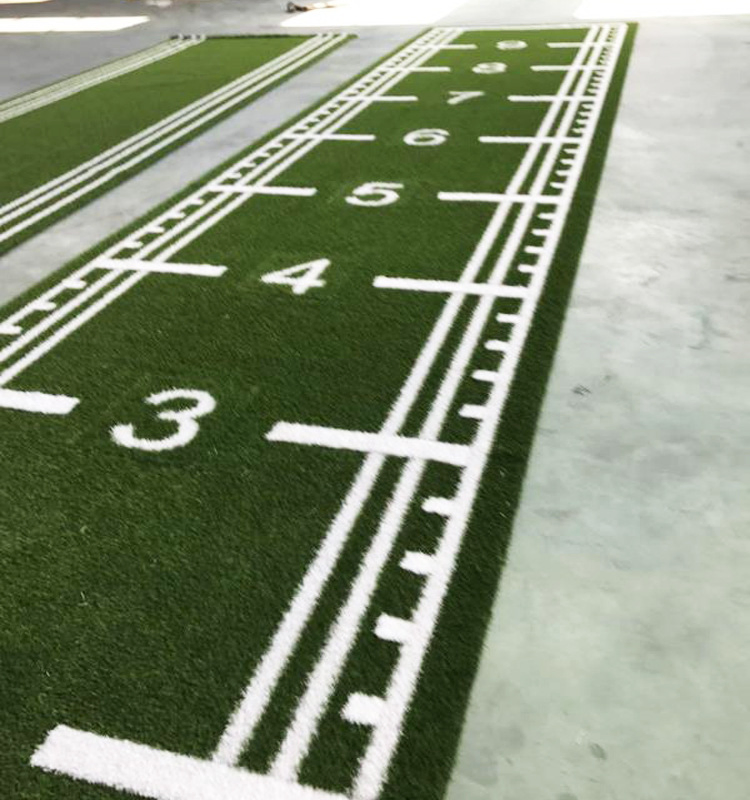 Fitness Scale Training Artificial Turf Grass for Gym