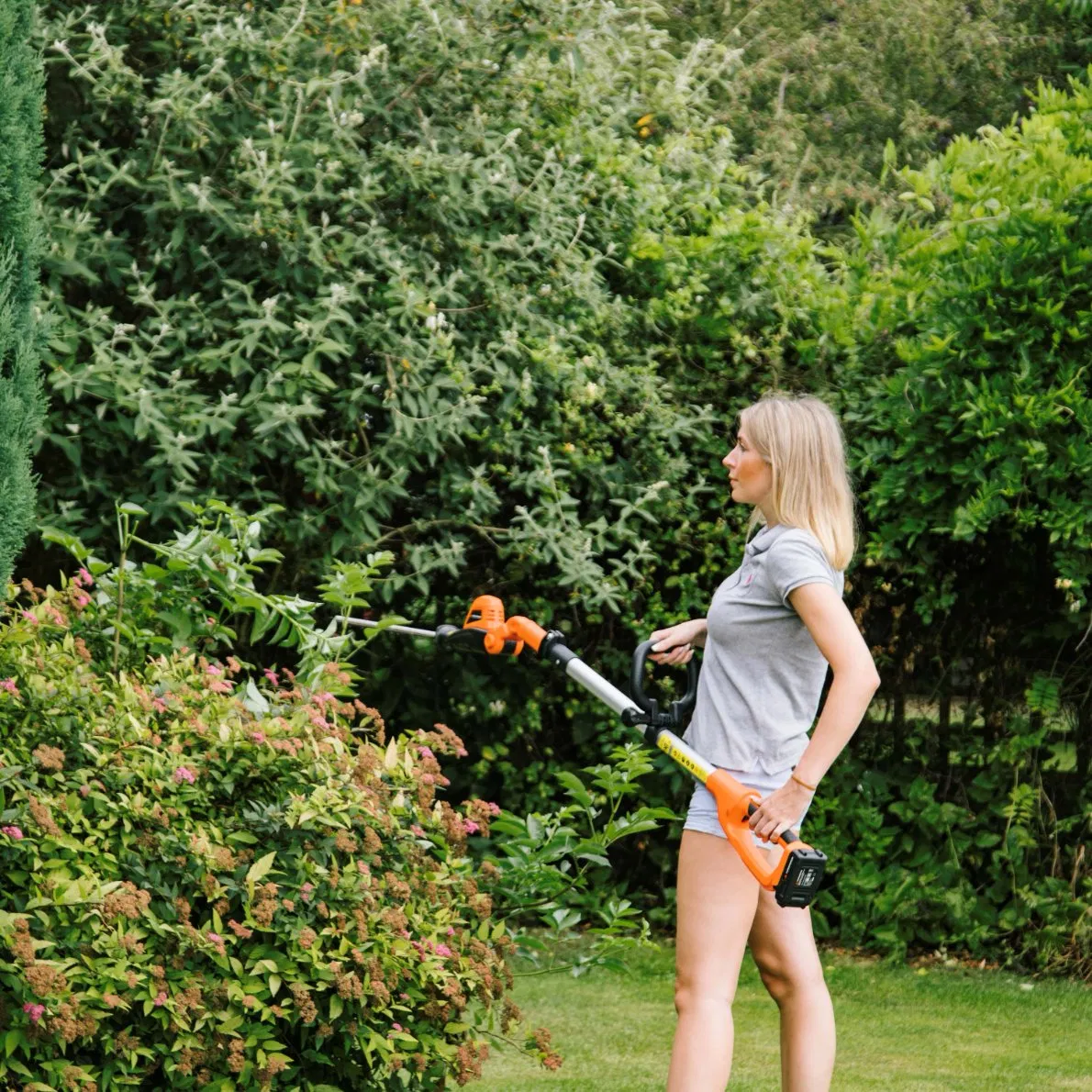 Proper Gap Design Vertical Trimming Cordless Pole Hedge Tree Trimmer - Lh C41A