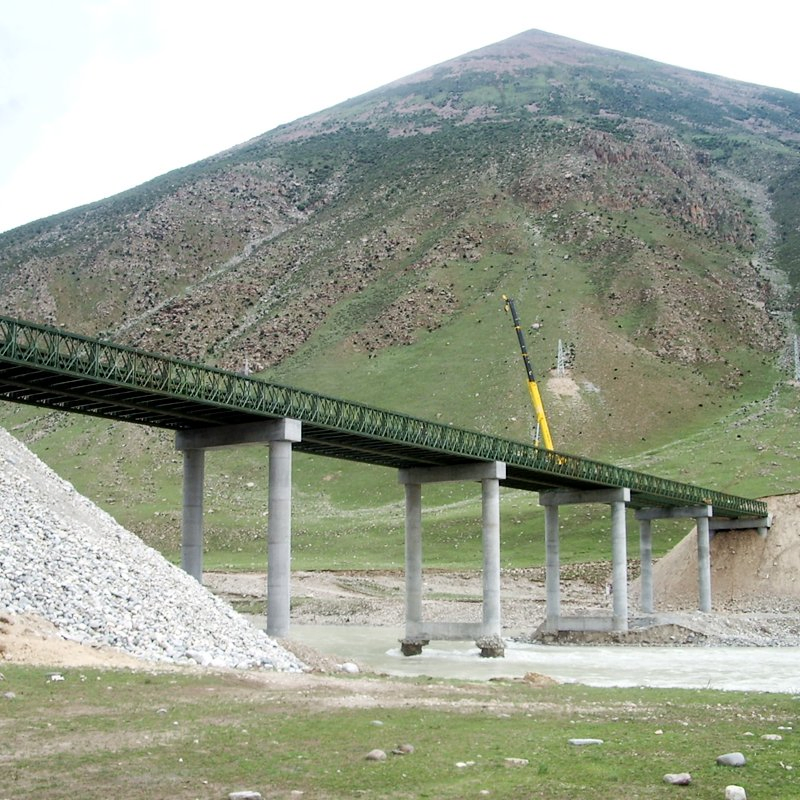 Prefabricated Bailey Type 200 Steel Construction Bridge Modern Design Components