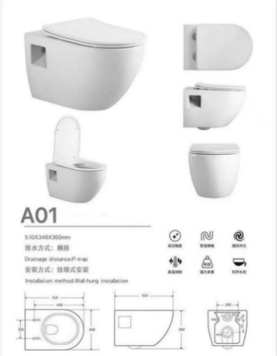 Various Shapes High Quality Ceramic One Piece Toilet
