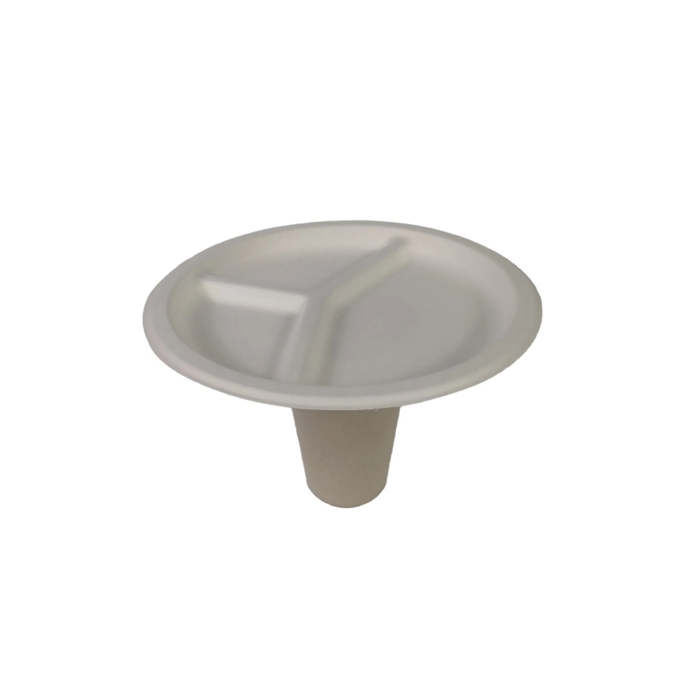 Eco-Friendly 9 Inch Sugarcane Bagasse Plate with 3 Compartments