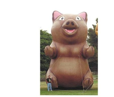 2023 New 25 FT. Giant Inflatable Bear