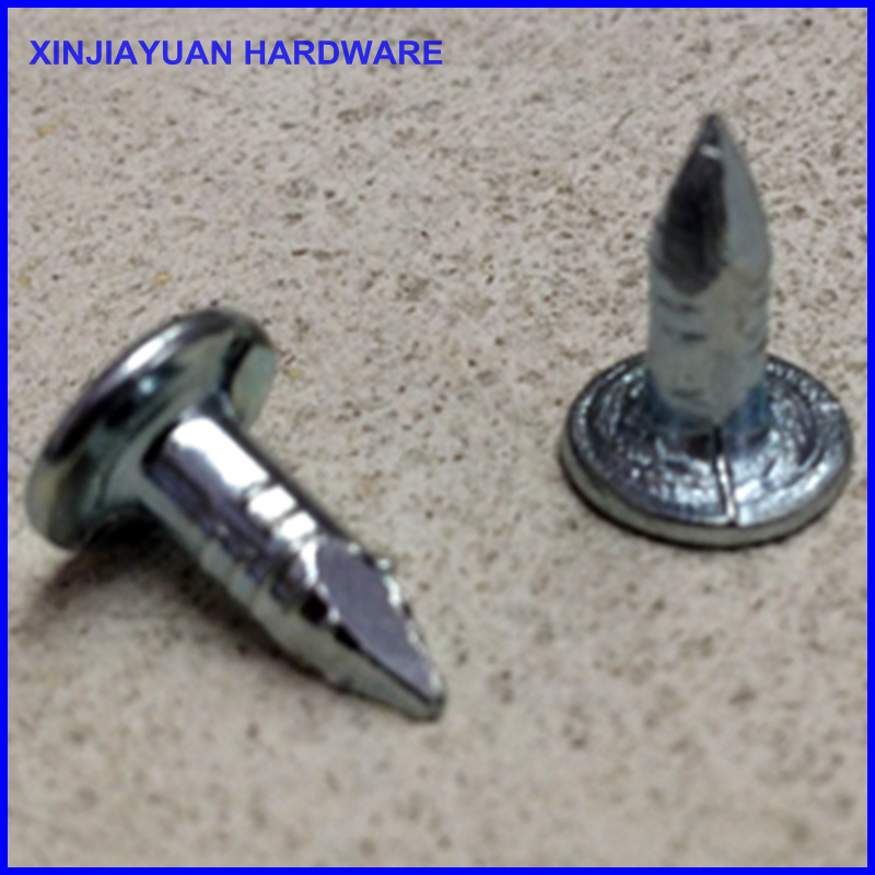 Large Head Masonry Steel Nails Smooth Shank 1/2"