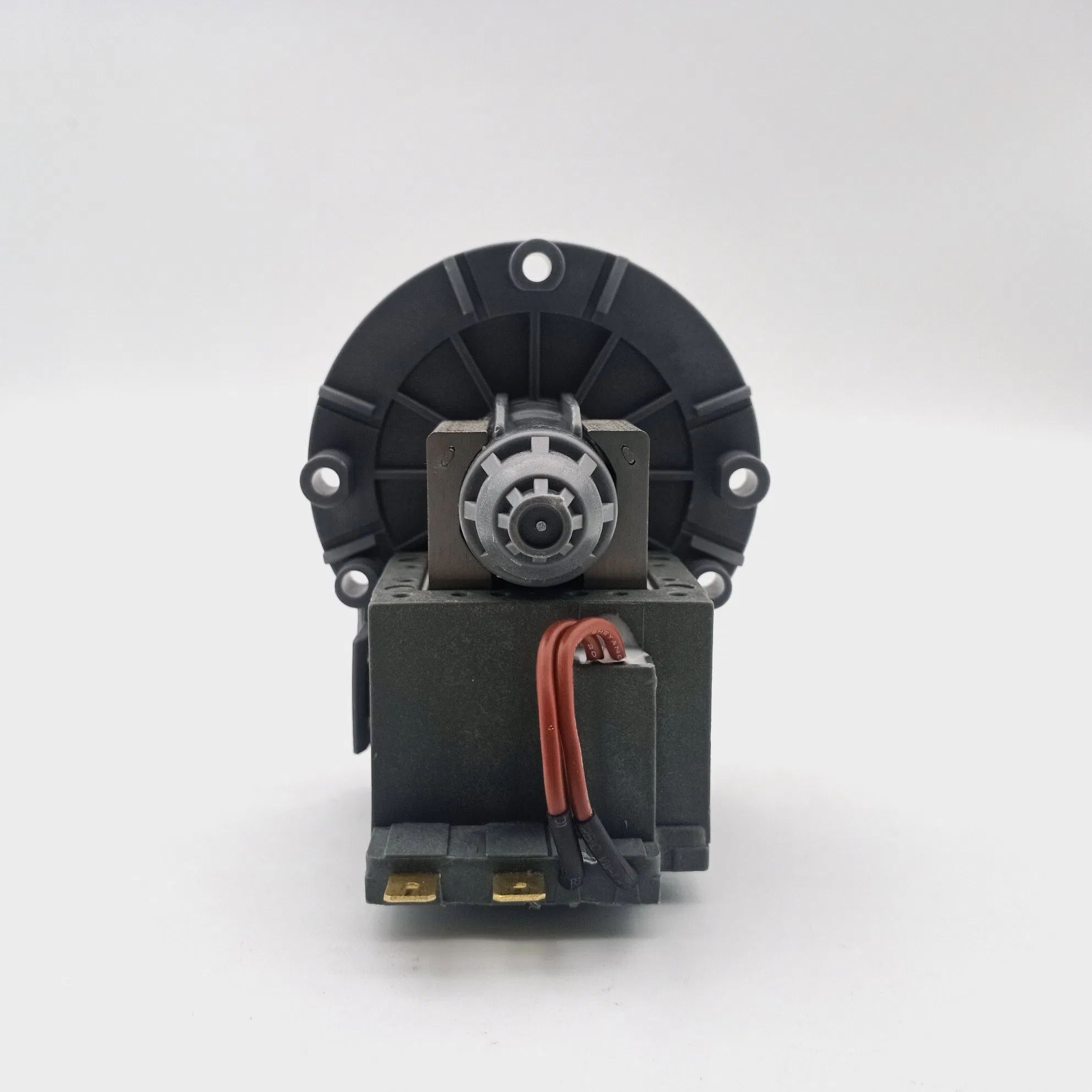 Ruijp 220V-240V Universal Drain Pump Washing Machine Motor