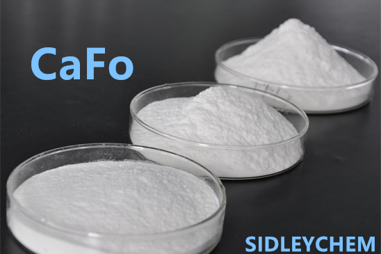 Calcium Formate Accelerate The Hardening Speed of Cement