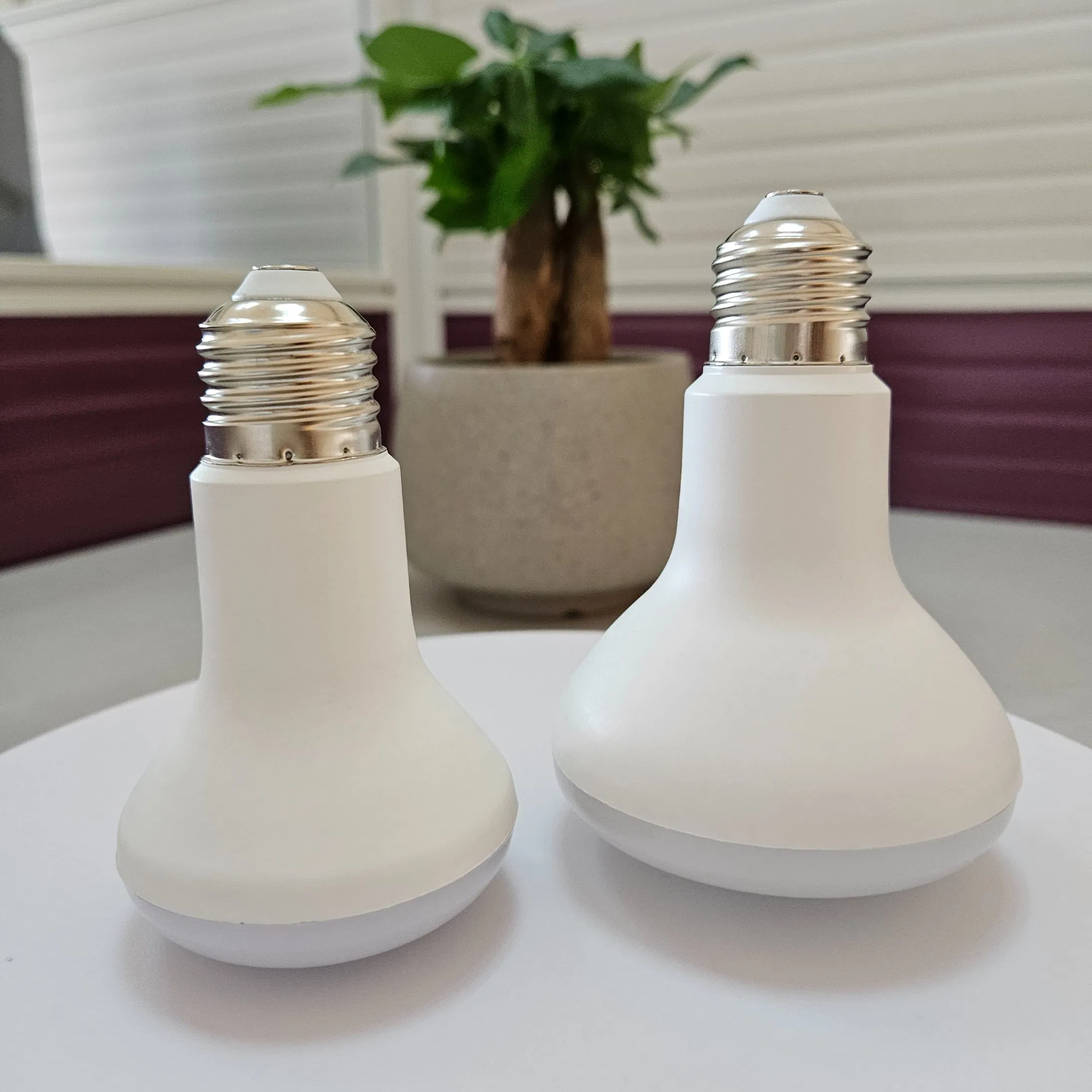 Low Price R39/R50/R63/R80/R90 Bath Heater Mushroom LED Bulb Light with CE RoHS EMC